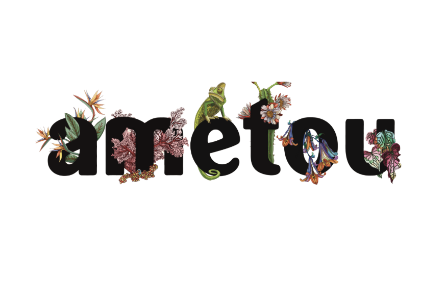 Ametou content marketing